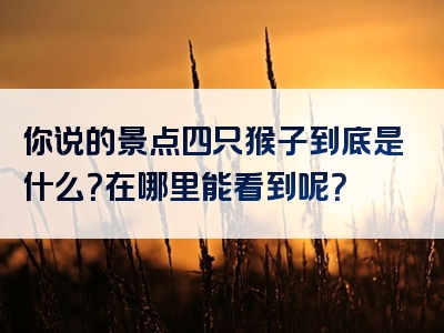 你说的景点四只猴子到底是什么？在哪里能看到呢？