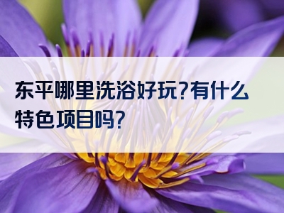 东平哪里洗浴好玩？有什么特色项目吗？