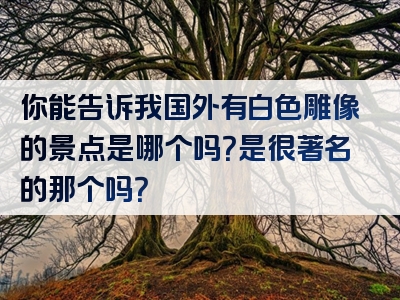 你能告诉我国外有白色雕像的景点是哪个吗？是很著名的那个吗？