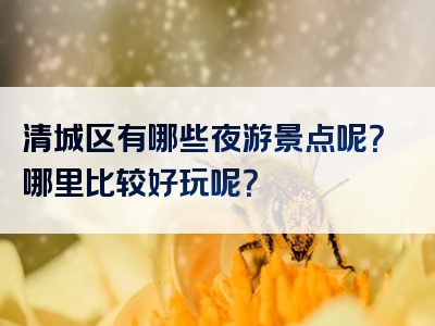 清城区有哪些夜游景点呢？哪里比较好玩呢？
