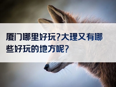 厦门哪里好玩？大理又有哪些好玩的地方呢？