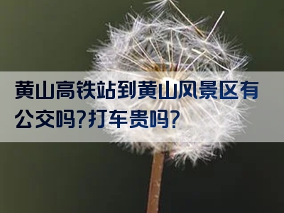 黄山高铁站到黄山风景区有公交吗？打车贵吗？