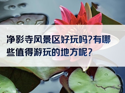 净影寺风景区好玩吗？有哪些值得游玩的地方呢？
