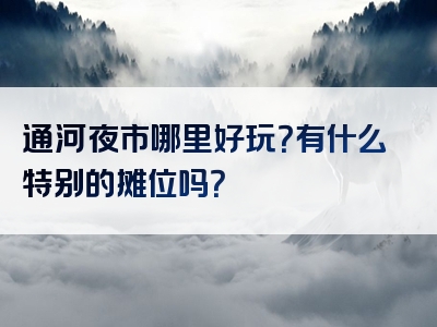 通河夜市哪里好玩？有什么特别的摊位吗？