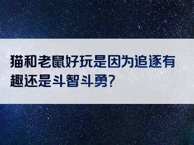 猫和老鼠好玩是因为追逐有趣还是斗智斗勇？