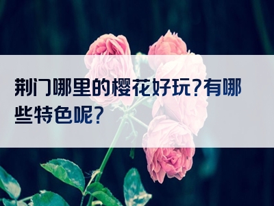 荆门哪里的樱花好玩？有哪些特色呢？
