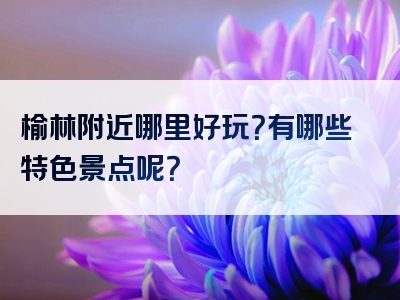 榆林附近哪里好玩？有哪些特色景点呢？