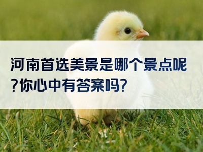 河南首选美景是哪个景点呢？你心中有答案吗？