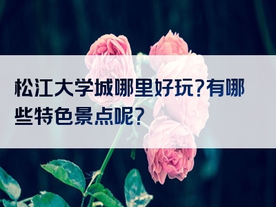 松江大学城哪里好玩？有哪些特色景点呢？