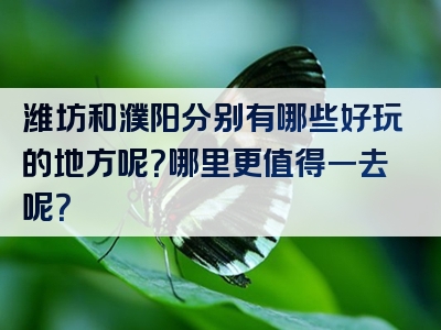潍坊和濮阳分别有哪些好玩的地方呢？哪里更值得一去呢？