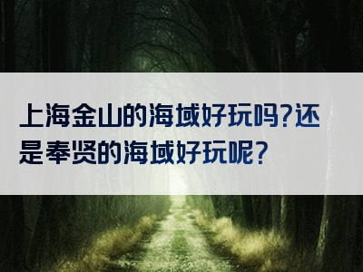 上海金山的海域好玩吗？还是奉贤的海域好玩呢？
