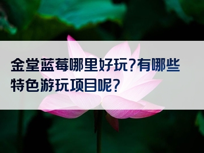 金堂蓝莓哪里好玩？有哪些特色游玩项目呢？