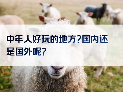 中年人好玩的地方？国内还是国外呢？