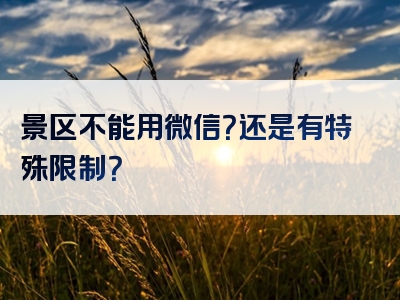 景区不能用微信？还是有特殊限制？