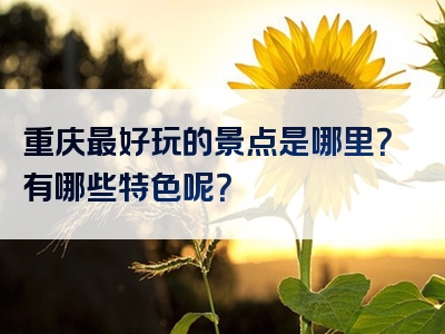 重庆最好玩的景点是哪里？有哪些特色呢？