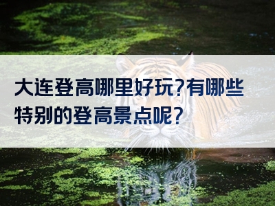 大连登高哪里好玩？有哪些特别的登高景点呢？