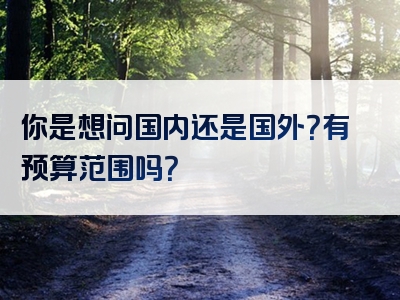 你是想问国内还是国外？有预算范围吗？