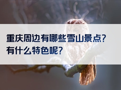 重庆周边有哪些雪山景点？有什么特色呢？