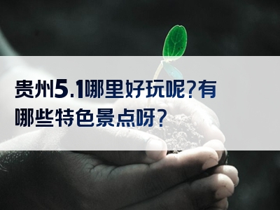 贵州5.1哪里好玩呢？有哪些特色景点呀？