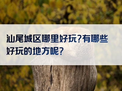 汕尾城区哪里好玩？有哪些好玩的地方呢？