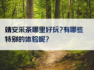 靖安采茶哪里好玩？有哪些特别的体验呢？