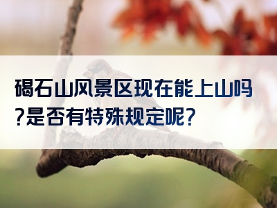 碣石山风景区现在能上山吗？是否有特殊规定呢？