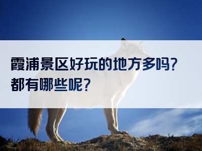 霞浦景区好玩的地方多吗？都有哪些呢？