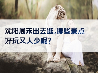 沈阳周末出去逛，哪些景点好玩又人少呢？