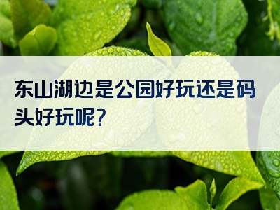 东山湖边是公园好玩还是码头好玩呢？
