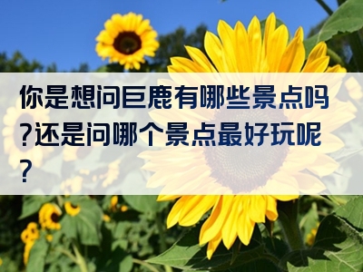 你是想问巨鹿有哪些景点吗？还是问哪个景点最好玩呢？