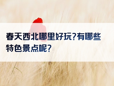 春天西北哪里好玩？有哪些特色景点呢？