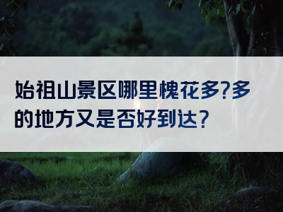 始祖山景区哪里槐花多？多的地方又是否好到达？