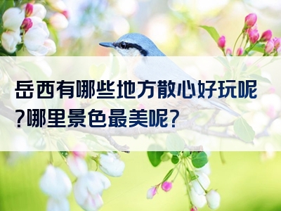 岳西有哪些地方散心好玩呢？哪里景色最美呢？