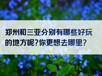 郑州和三亚分别有哪些好玩的地方呢？你更想去哪里？