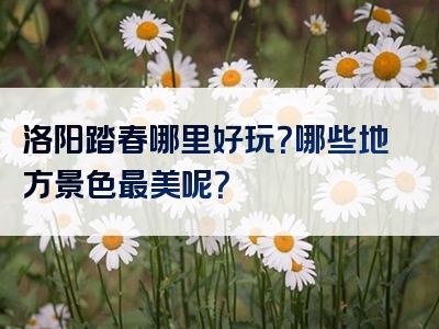 洛阳踏春哪里好玩？哪些地方景色最美呢？