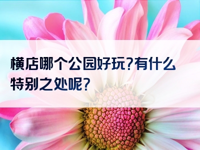 横店哪个公园好玩？有什么特别之处呢？