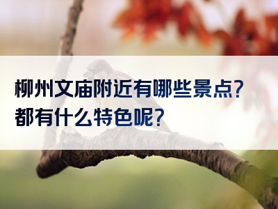 柳州文庙附近有哪些景点？都有什么特色呢？