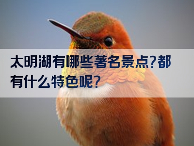太明湖有哪些著名景点？都有什么特色呢？