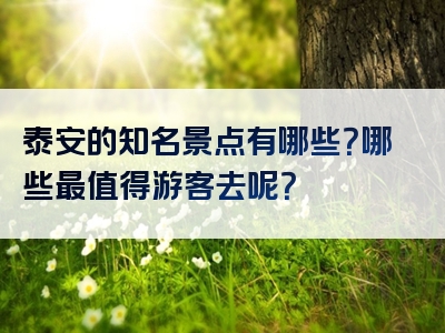 泰安的知名景点有哪些？哪些最值得游客去呢？