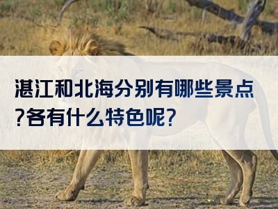湛江和北海分别有哪些景点？各有什么特色呢？