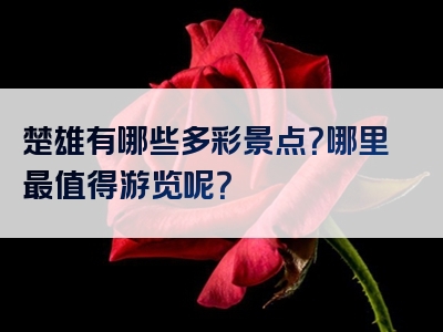 楚雄有哪些多彩景点？哪里最值得游览呢？