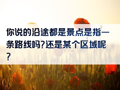 你说的沿途都是景点是指一条路线吗？还是某个区域呢？