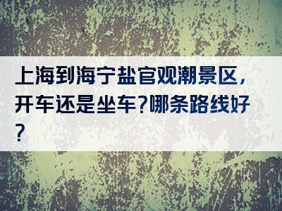 上海到海宁盐官观潮景区，开车还是坐车？哪条路线好？