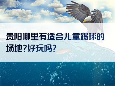 贵阳哪里有适合儿童踢球的场地？好玩吗？