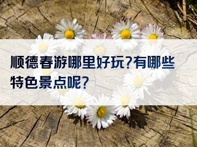 顺德春游哪里好玩？有哪些特色景点呢？