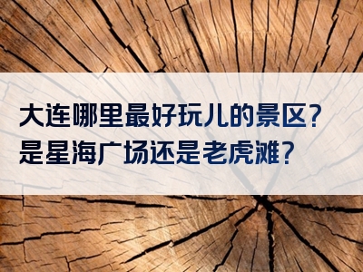 大连哪里最好玩儿的景区？是星海广场还是老虎滩？