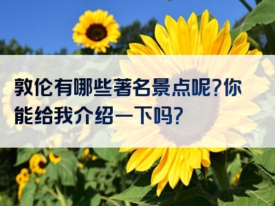 敦伦有哪些著名景点呢？你能给我介绍一下吗？