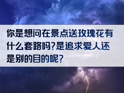 你是想问在景点送玫瑰花有什么套路吗？是追求爱人还是别的目的呢？