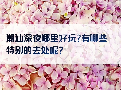 潮汕深夜哪里好玩？有哪些特别的去处呢？