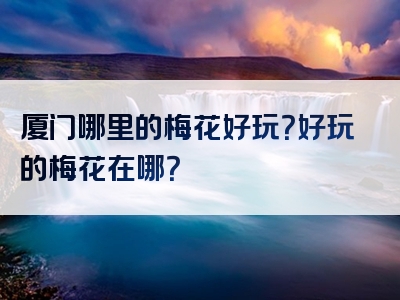 厦门哪里的梅花好玩？好玩的梅花在哪？